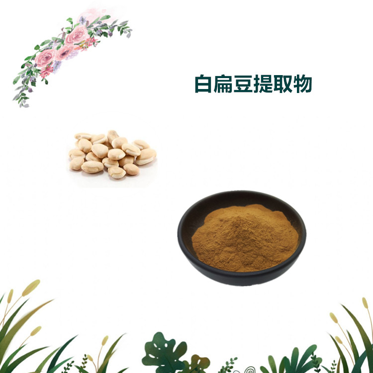 沃特莱斯生物 白扁豆提取物 速溶粉 萃取粉 多规格订制