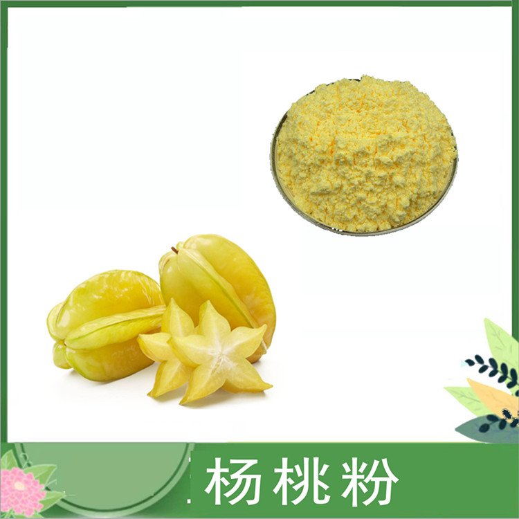 杨桃粉 水溶阳桃果粉 沃特莱斯 浓缩杨桃汁 固体饮料糖果原料 量大价优