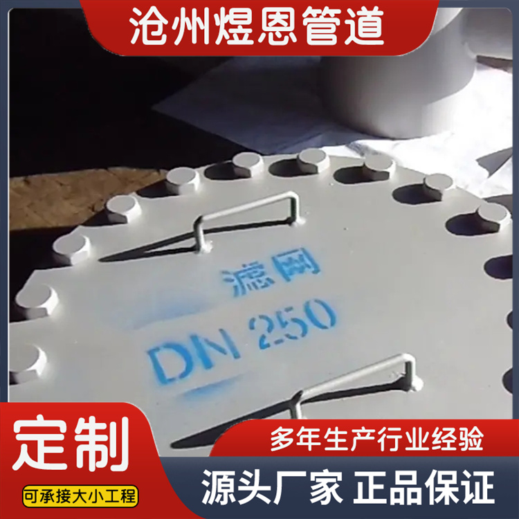 沧州煜恩管道 抽出式滤网  规格齐全
