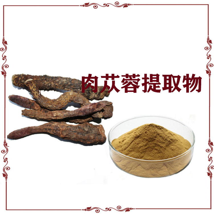 肉苁蓉提取物10:1 20:1 速溶粉 浸膏 多种规格 支持定制