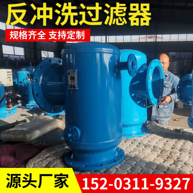 反冲洗过滤装置 立式除污器 角通式反冲洗过滤器衢州