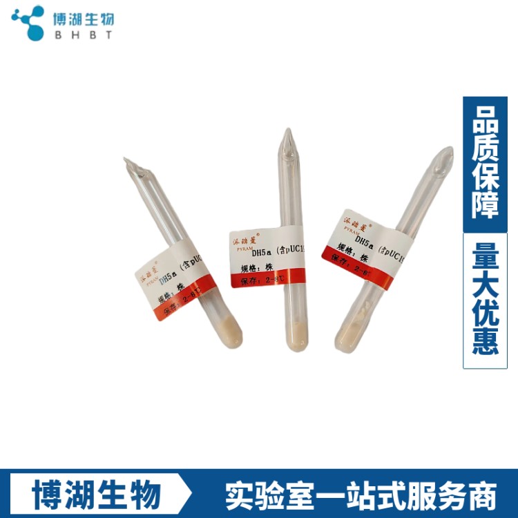 多用途科研菌种：从分子克隆到工业发酵，一站式满足实验需求