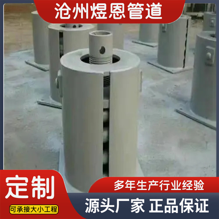 沧州煜恩管道 弹簧支座  厂家