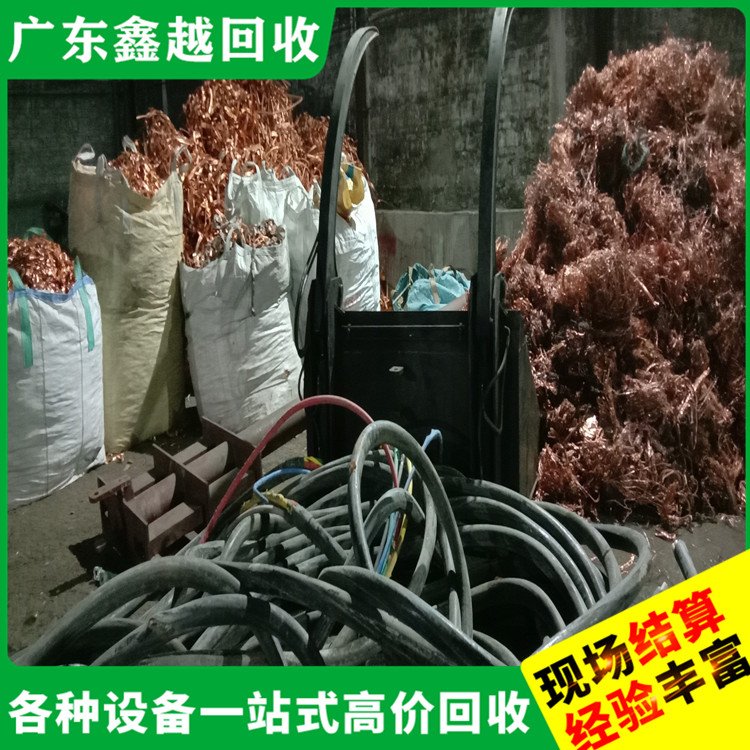 二手电缆回收 专业团队 制药厂设备回 收 放心环保
