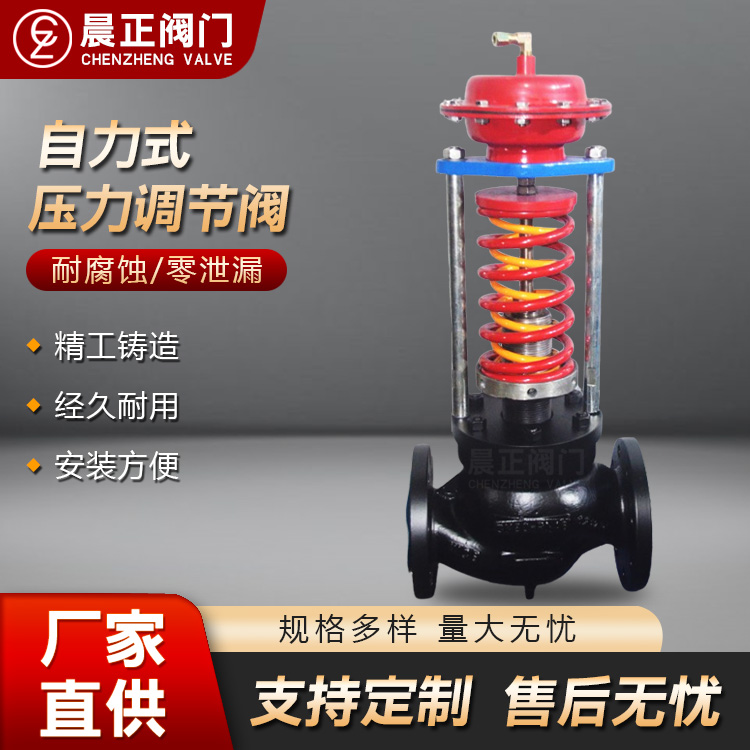自力式调节阀 自力式压力调节阀 铸钢碳钢 法兰