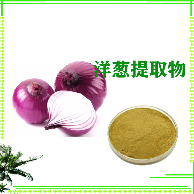 洋葱粉 膳食纤维粉 速溶粉  喷雾干燥粉  质量稳定 可寄样