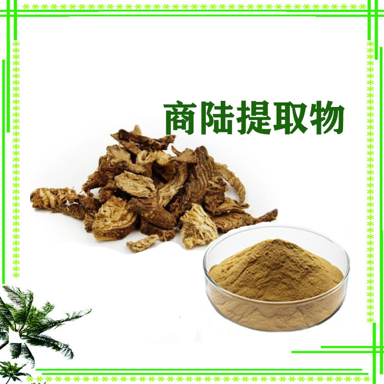 商陆提取物 速溶粉 商陆浸膏粉 120目精细粉末 质量稳定