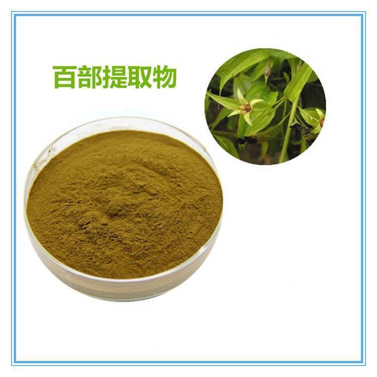 百部提取物 浸膏粉 百部碱 喷雾干燥粉 质量稳定 可寄样