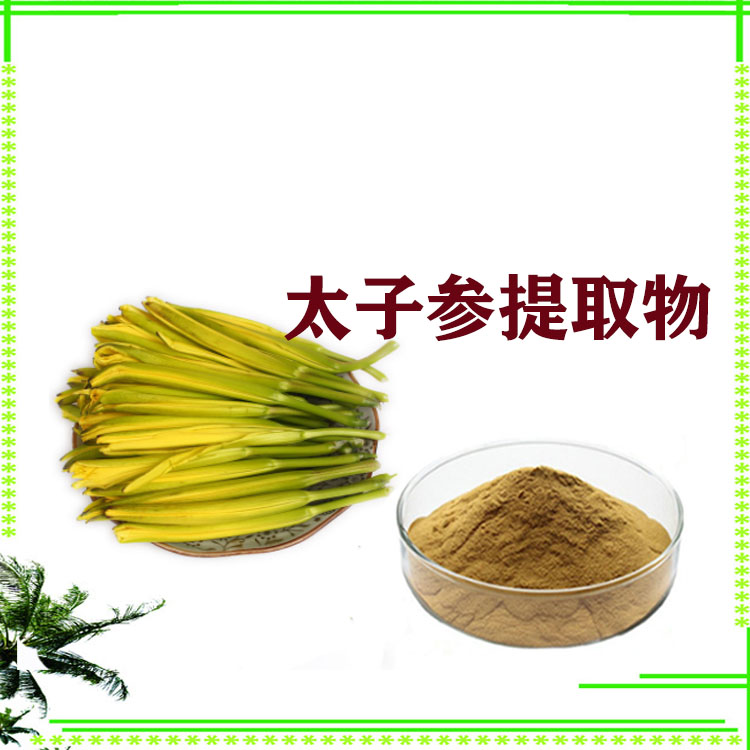太子参提取物 浸膏粉 速溶粉 120目精细粉末 质量稳定