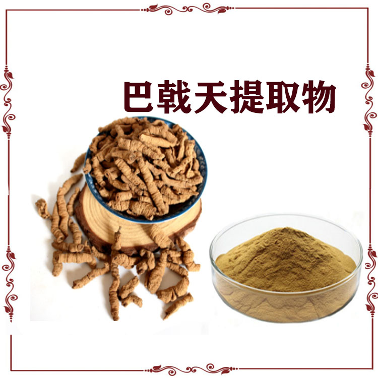 巴戟天提取物 浸膏粉  速溶粉 沃特莱斯生物 支持拿样