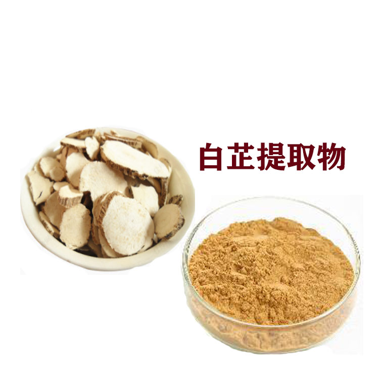 白芷多糖 速溶粉 白芷浸膏 沃特莱斯生物 多种规格 可定制