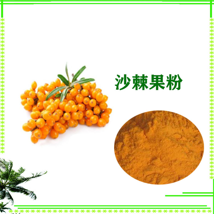 沙棘肽 沙棘速溶粉 提取物 120目精细粉末 质量稳定