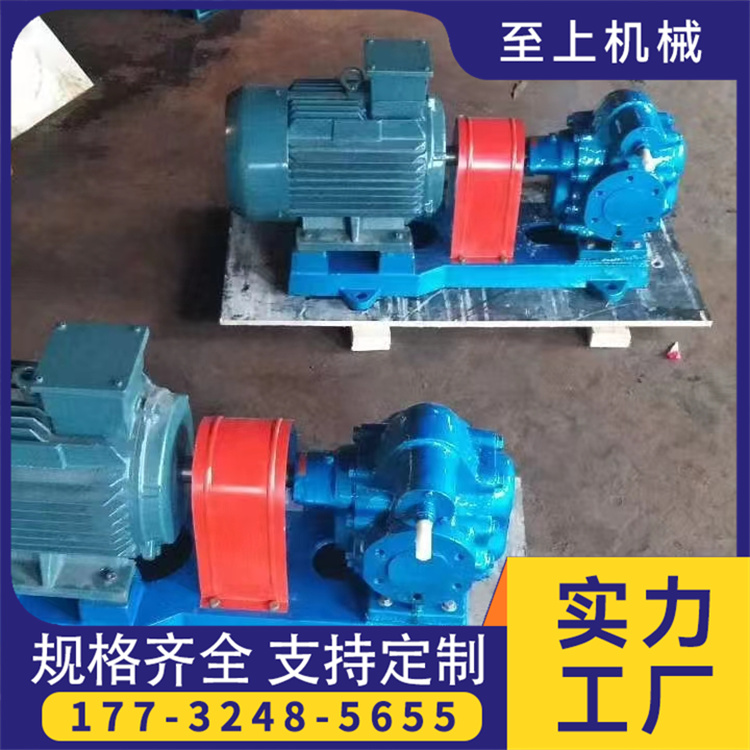 至上 齿轮油泵  现货现发