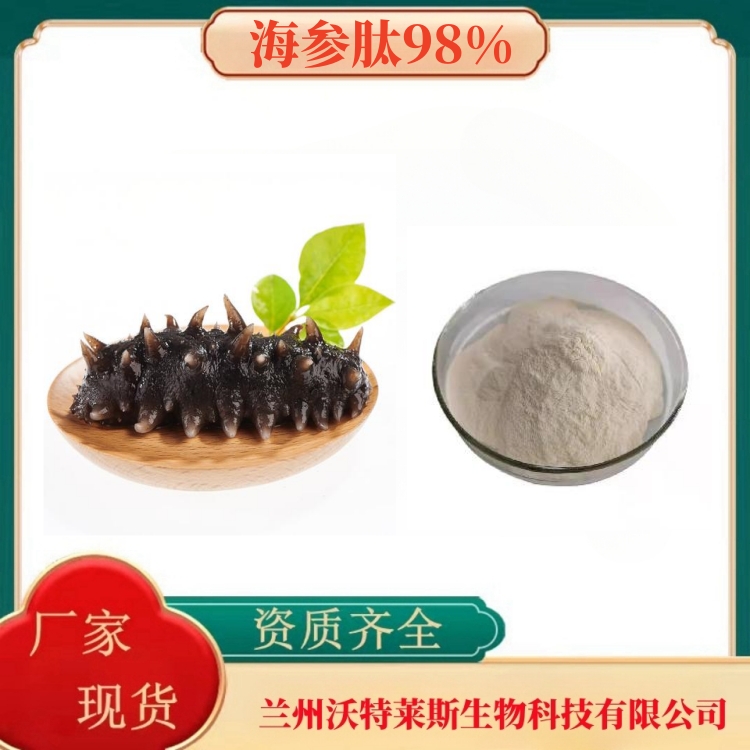 海参肽98%   水溶性好   海参粉   海参提取物   多种规格   食品级  沃特莱斯生物