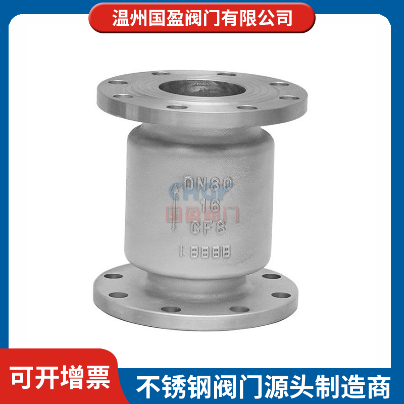 不锈钢止回阀工厂 国盈