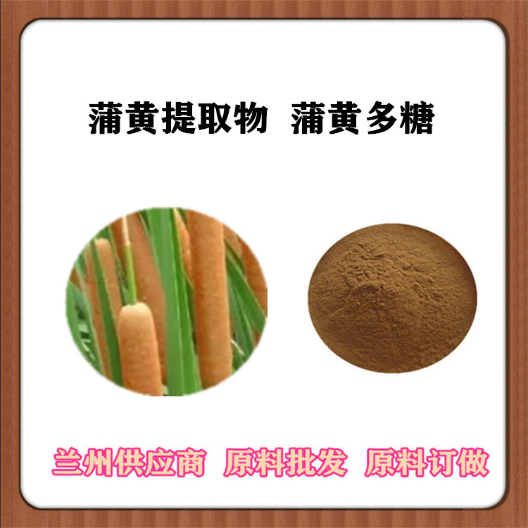 蒲黄提取物 10:1蒲黄浓缩粉 水蜡烛/毛蜡烛比例萃取浸膏原料 水溶 沃特莱斯供应