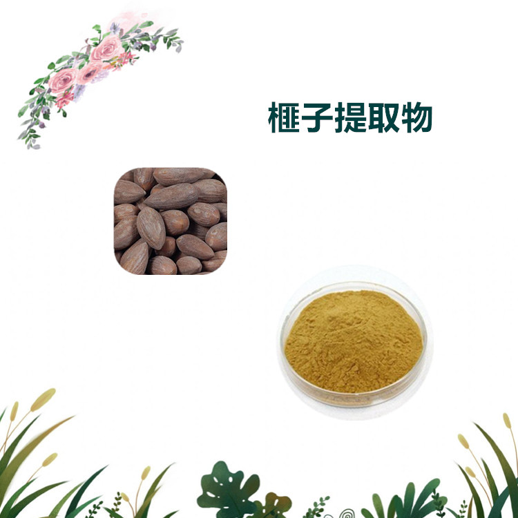 沃特莱斯生物 榧子提取物 萃取粉 水溶性粉末 多规格订制