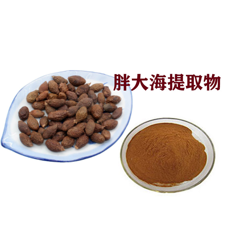 胖大海提取物 速溶粉 浸膏粉 喷雾干燥粉 粉末细腻 全水溶
