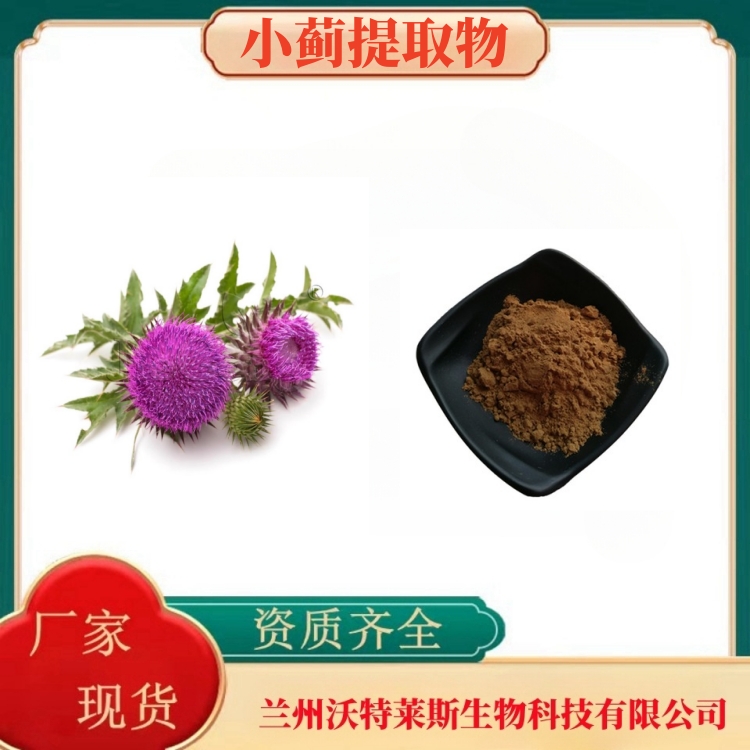 小蓟提取物  水飞蓟素80%  水飞蓟提取物  小蓟粉  多种规格  沃特莱斯生物