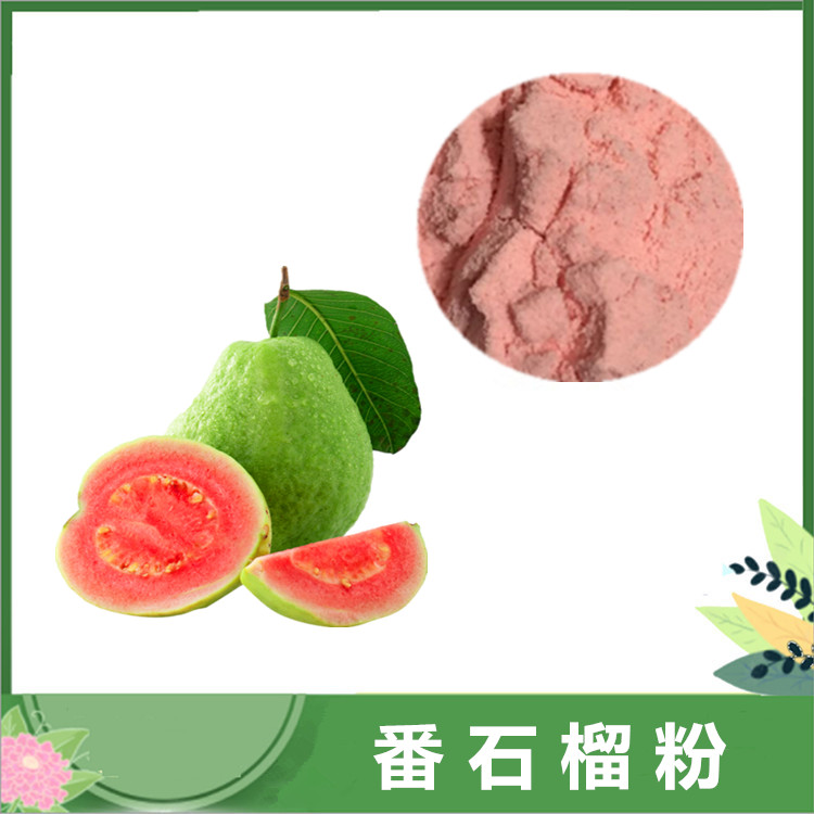 番石榴粉 水溶芭乐果汁粉 喷雾干燥番石榴果粉 饮料代餐奶茶原料 一公斤发样