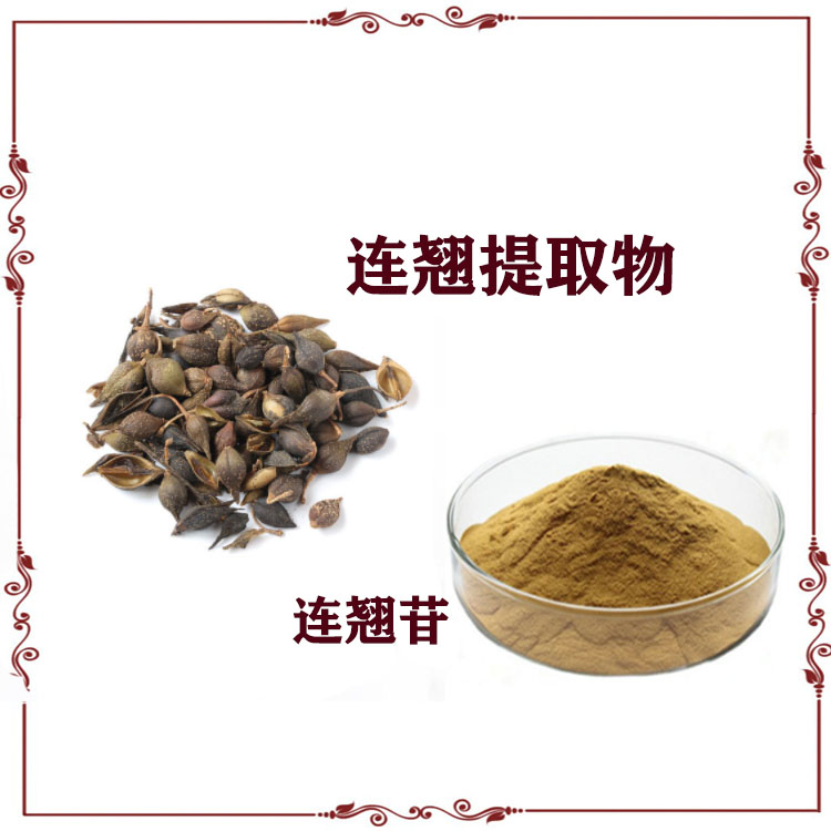 沃特莱斯生物 连翘提取物 连翘苷 速溶粉 浸膏 多种规格