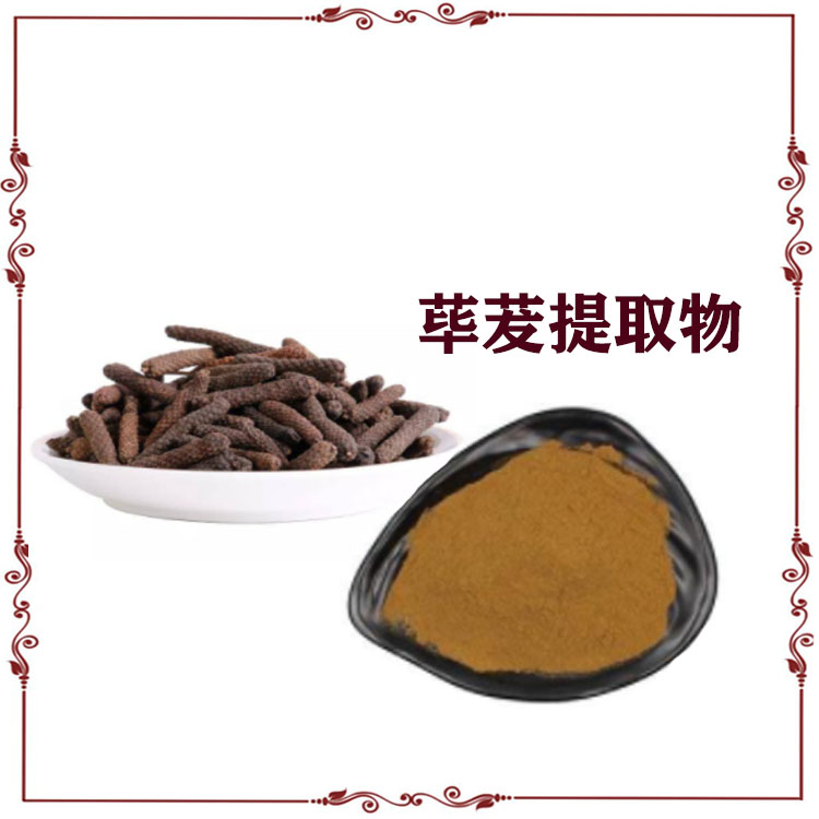 荜茇提取物 荜茇粉 药食同源 荜茇浸膏粉 沃特莱斯生物可寄样