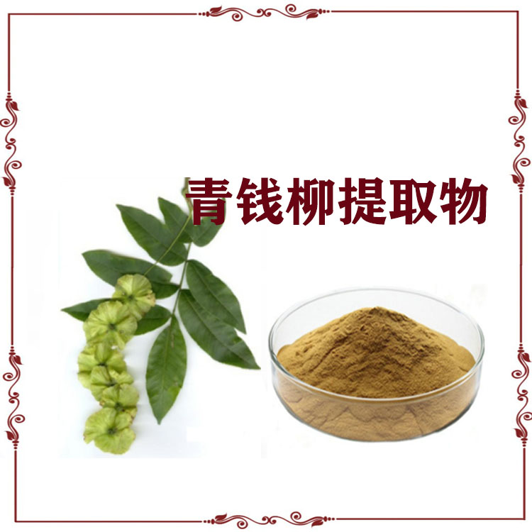青钱柳提取物 速溶粉 喷雾干燥粉 浸膏 多种规格  可定制