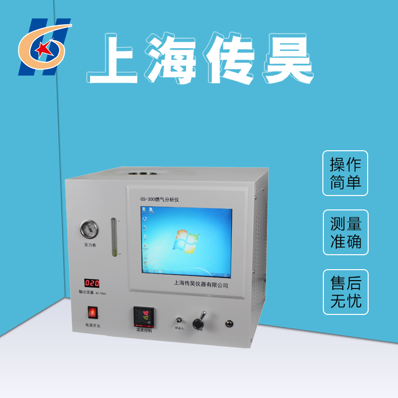 GS-300FPD硫化氢分析仪 传昊仪器