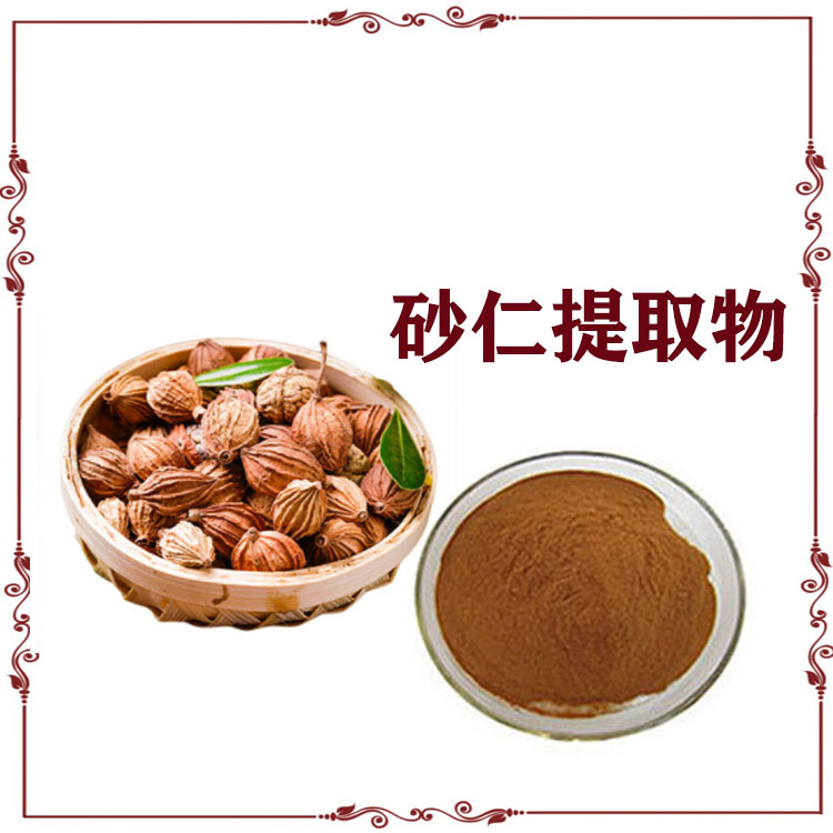 砂仁提取物 速溶粉 浸膏粉 萃取粉 120目精细粉末 水溶性好