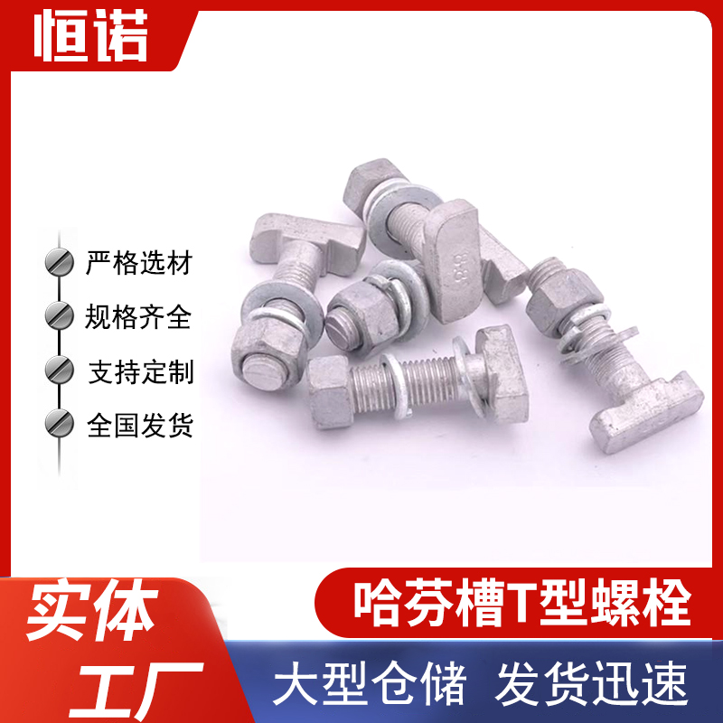 玻璃幕墙T型螺栓 哈芬槽螺栓 高强度热镀锌T型 幕墙预埋槽道螺丝