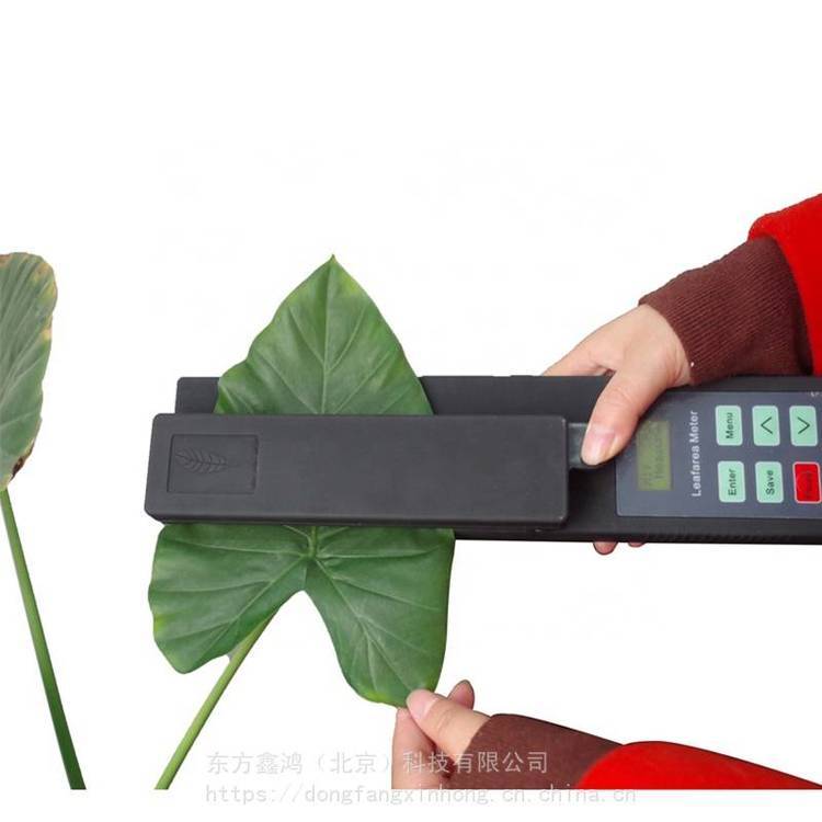 活体叶面积测量仪 数显储存 DF-YMJ型 东方鑫鸿
