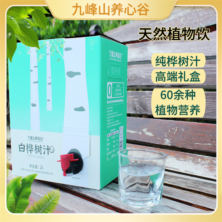 白桦树汁2L 生产厂家