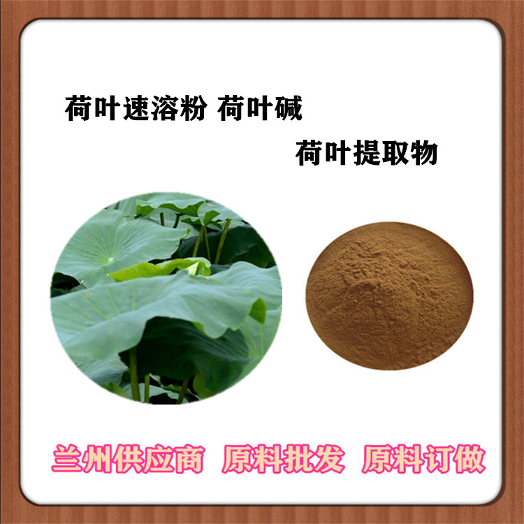 荷叶提取物30:1 荷叶速溶粉 荷叶碱 沃特莱斯批发荷叶浸膏粉 浓缩汁订做包邮