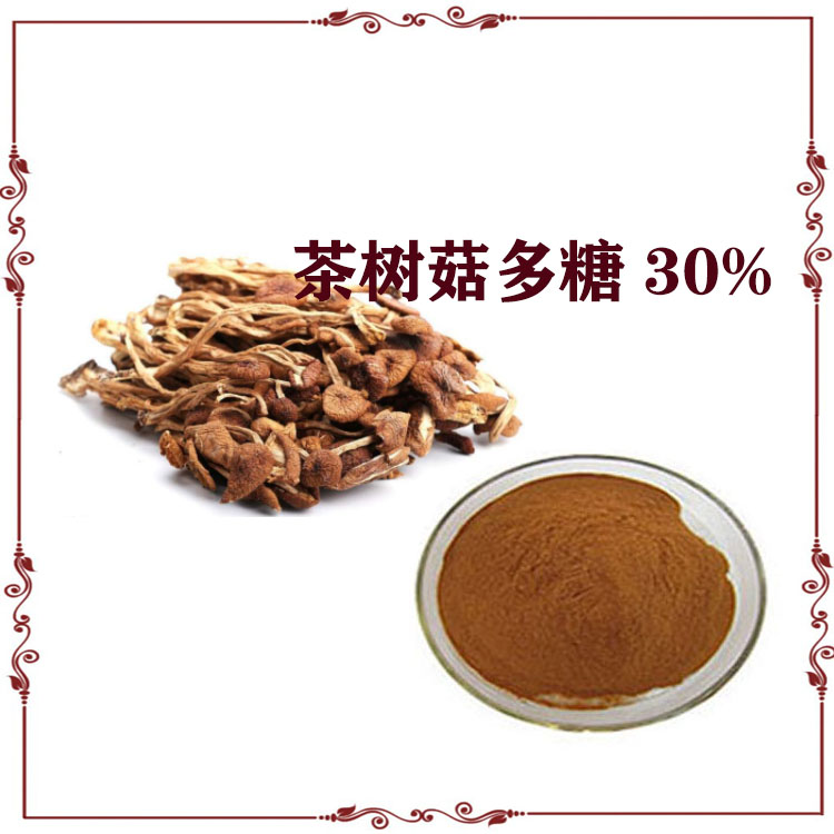 茶树菇多糖  50% 茶树菇粉 提取物 质量稳定 支持拿样