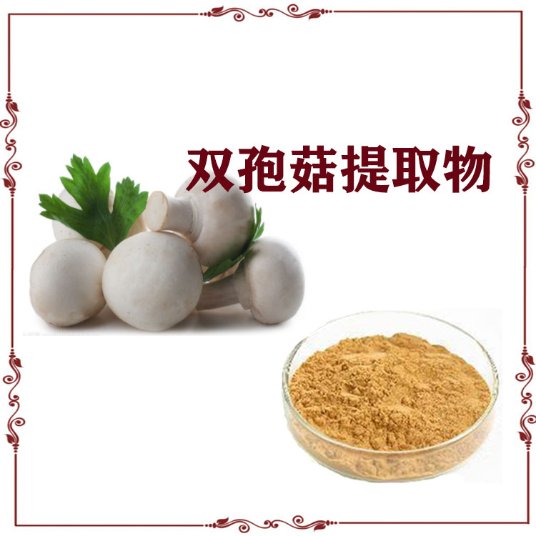 双孢菇提取物 双孢菇多糖 速溶粉 原粉 120目精细粉末