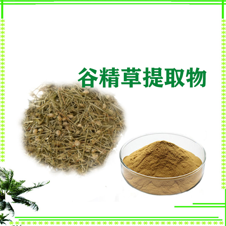 谷精草提取物 速溶粉 提取液 沃特莱斯生物 规格齐全