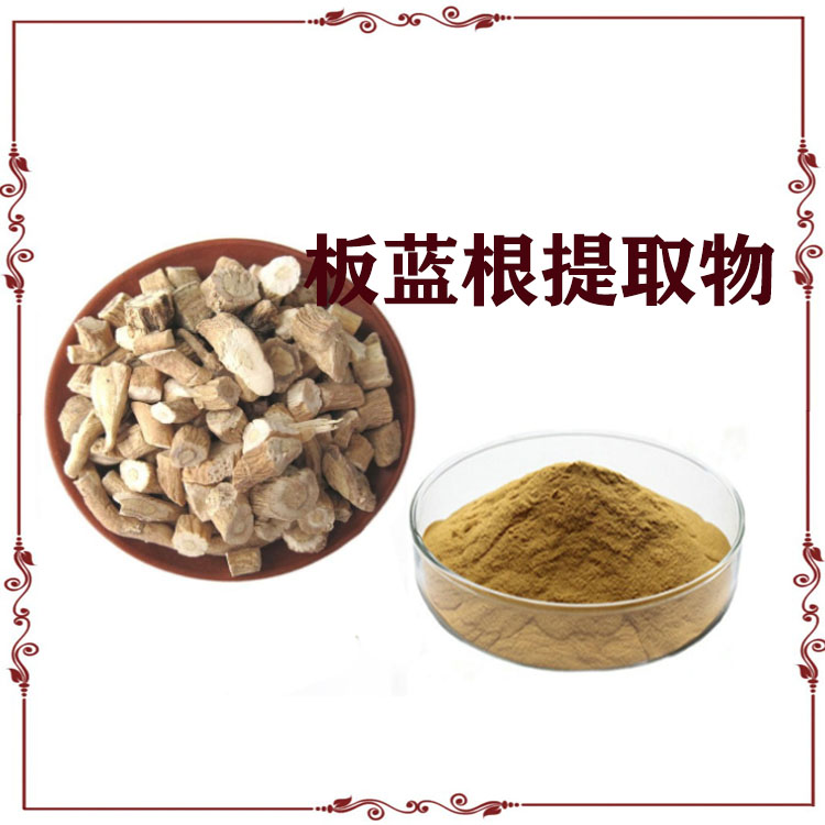 板蓝根提取物 浸膏粉 喷雾干燥粉 粉末细腻 水溶性好