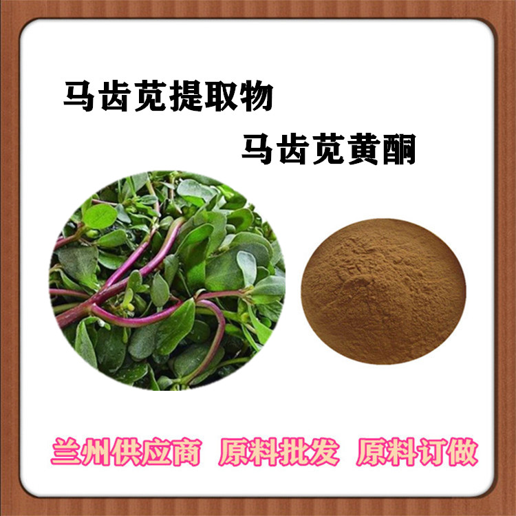 马齿苋提取物30:1 马齿苋黄酮订做浓缩汁 原粉 喷雾干燥 沃特莱斯批发