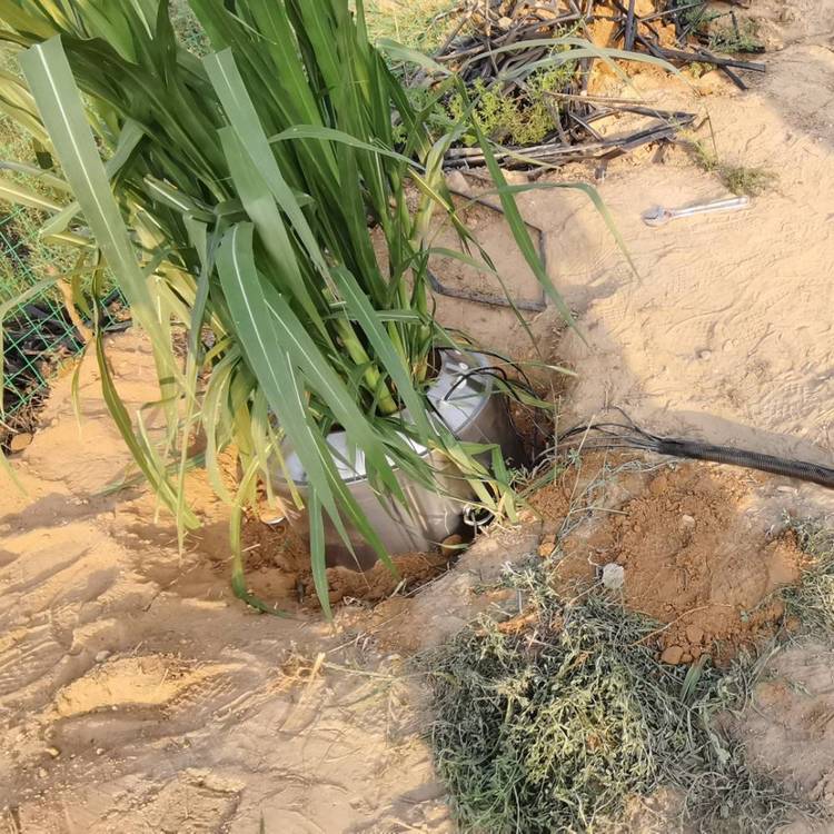 DF-5060植物棵间蒸发监测系统 东方鑫鸿 称重 无线传输