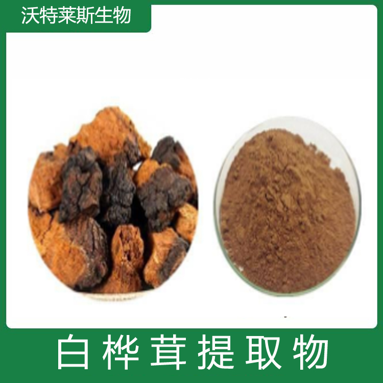 白桦茸提取物 多糖 浸膏粉 粉末细腻 水溶性好 库存充足