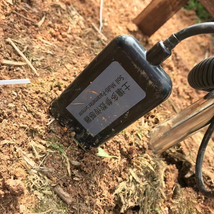 土壤体积含水量传感器 DF-TS 东方鑫鸿 RS485输出