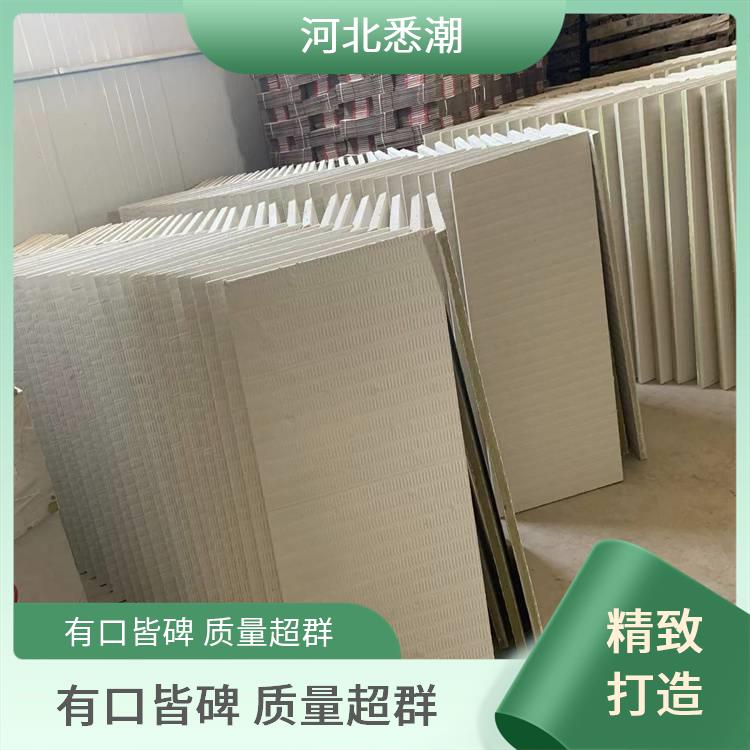 悉潮 隧道电厂用 防火涂层板 密度≤1.5g/cm³ 定制尺寸灵活