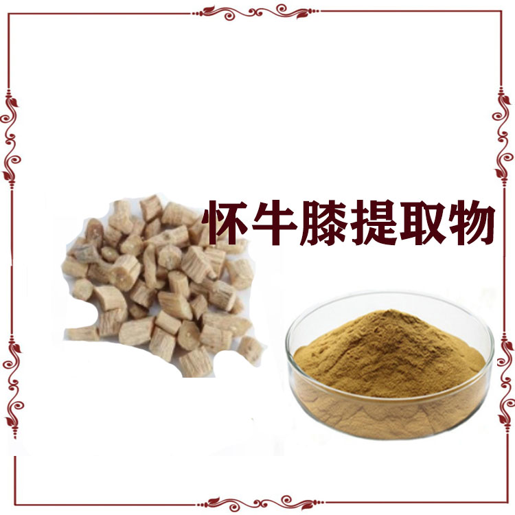 怀牛膝提取物10:1 原粉 浸膏粉 120目精细粉末 全水溶