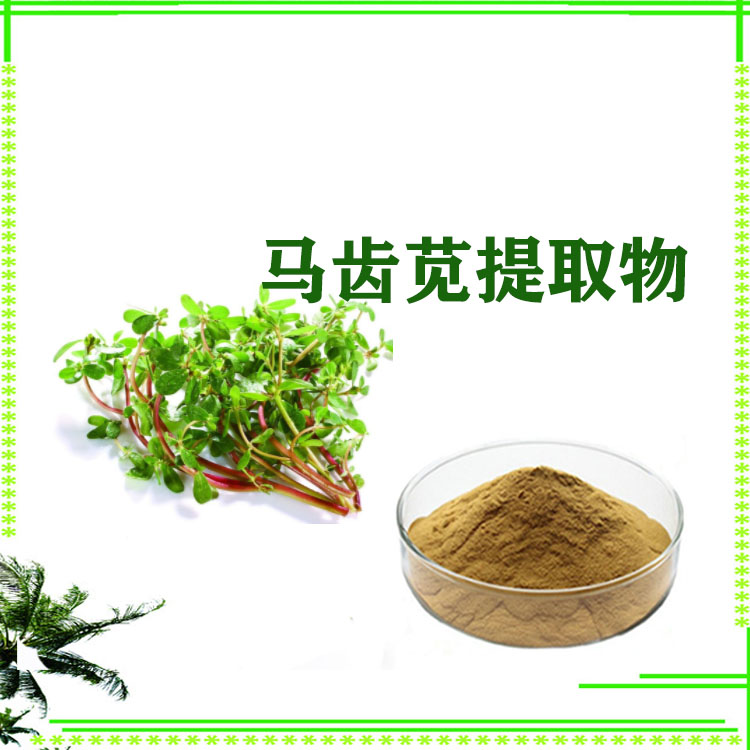 马齿苋提取物 马齿苋多糖 提取液 速溶粉 质量稳定 可寄样