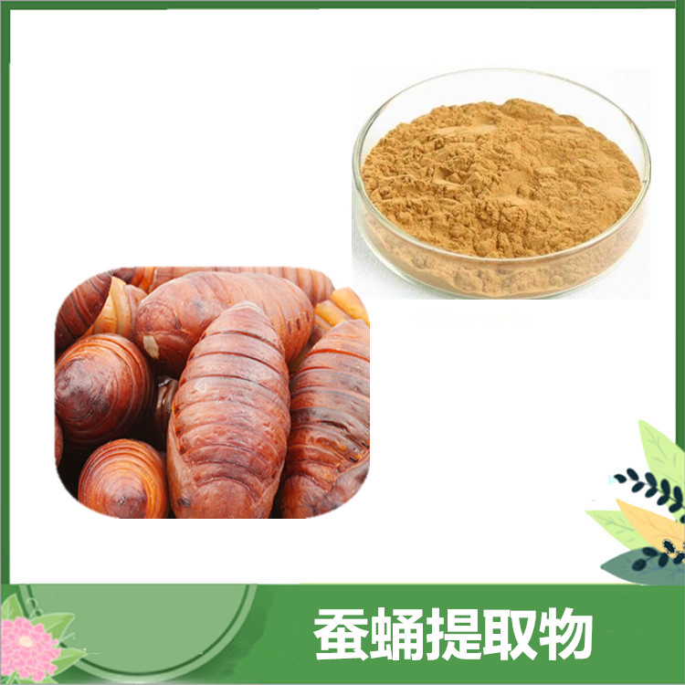 蚕蛹提取物 10:1比例小蜂儿/原蚕蛹萃取 蚕蛹蛋白粉 厂家供应