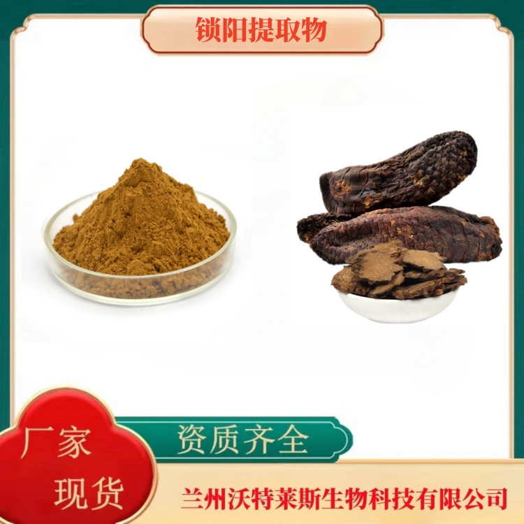 锁阳提取物10:1比例沙漠锁阳粉无中间商1kg起批羊锁不拉提取物