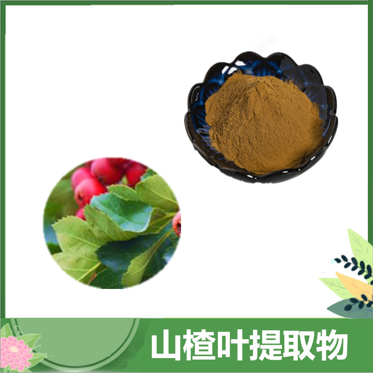 3%牡荆素 山楂叶比例提取物20:1 牡荆苷原料粉现货 楂叶速溶粉 喷雾干燥