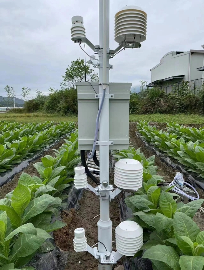 植物生长环境梯度监测系统 DF-TS2 东方鑫鸿