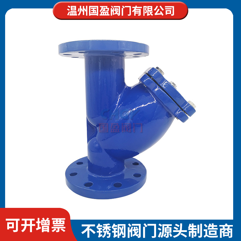 碳钢过滤器生产厂家 国盈