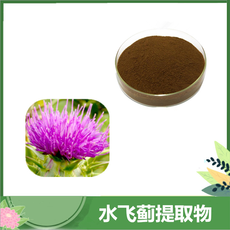 水飞蓟提取物 10:1提取水飞蓟素 奶蓟草比例提取物 水溶水飞蓟粉 喷雾干燥